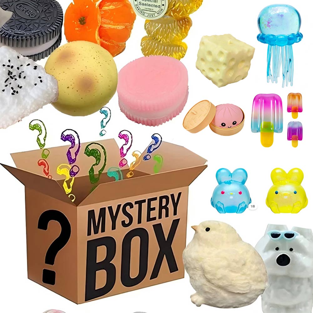 Mystery Fidget Toy Blind Box,  - Food Storage And Container recensione e prezzo