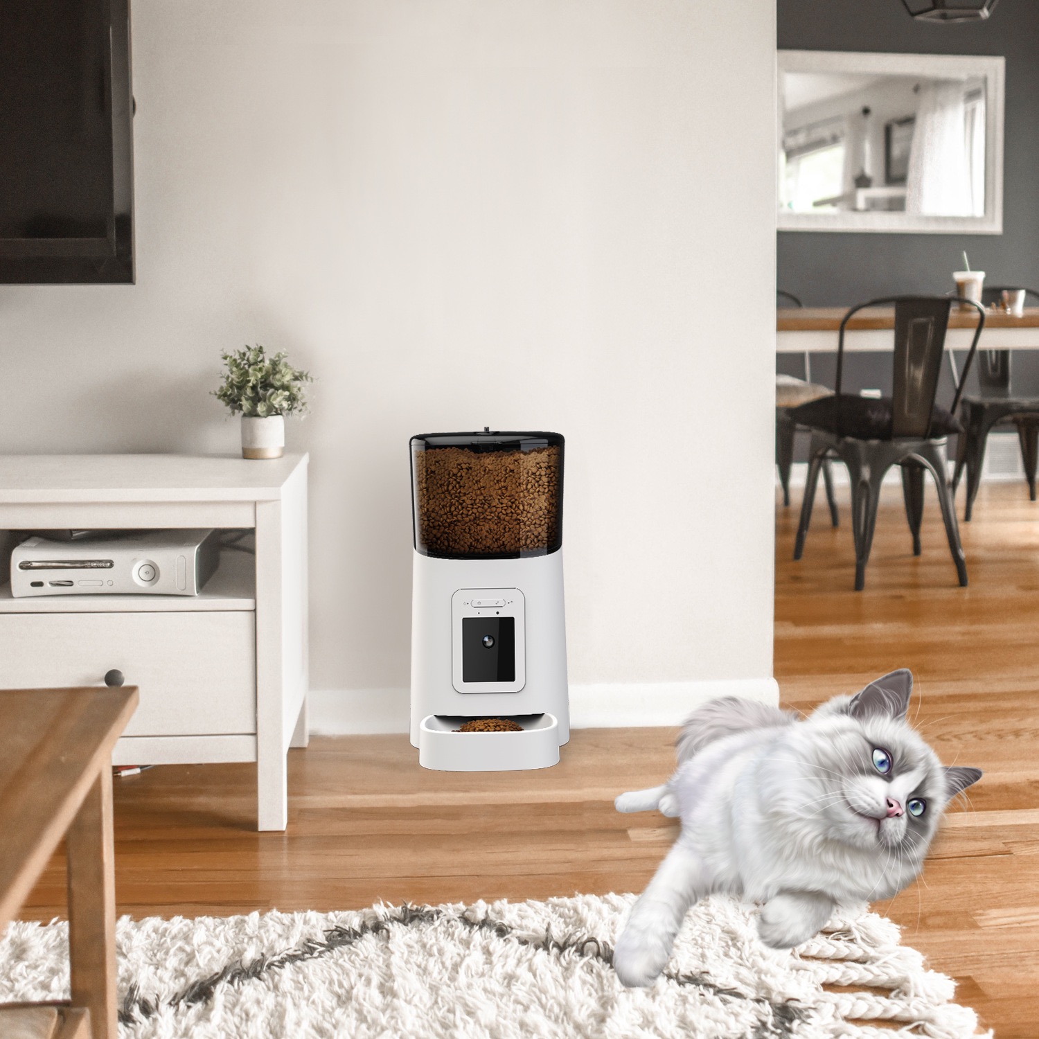 Miglior Venditore 2024: Distri - Best Food Storage recensione e prezzo