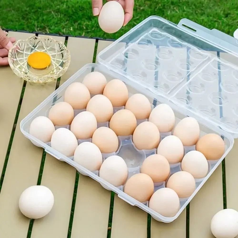 Contenitore per Uova in Plasti - Food Storage Camping recensione e prezzo