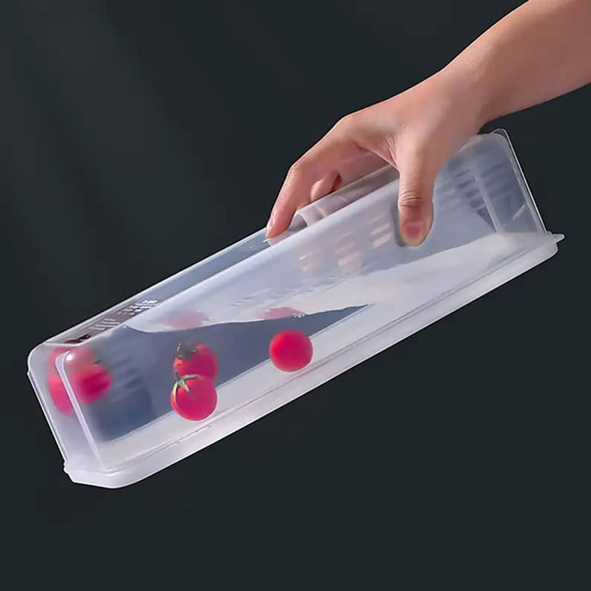 1 scatola portaoggetti in plas - Food Storage Time recensione e prezzo